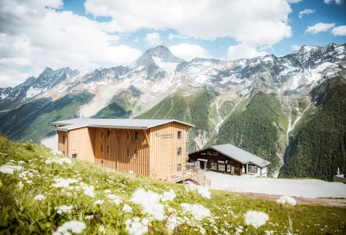 Bergsommer auf der Alp.